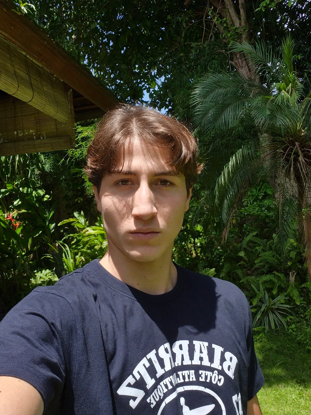 Image-2
