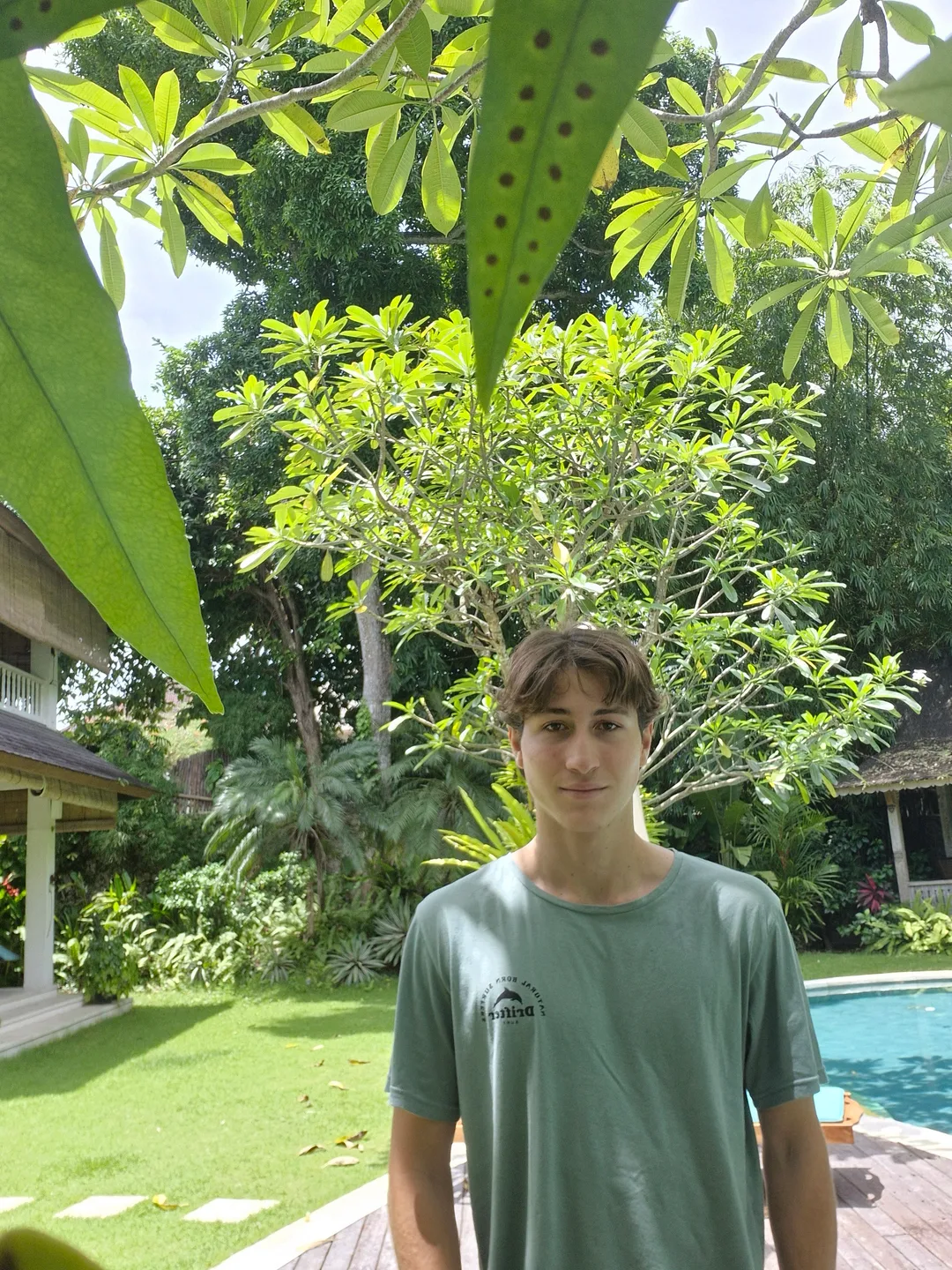 Image-4